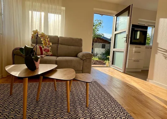 度假居 Le Beethoven 科尔马