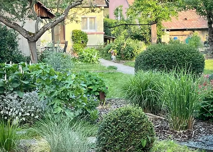 度假居 Le Beethoven 科尔马